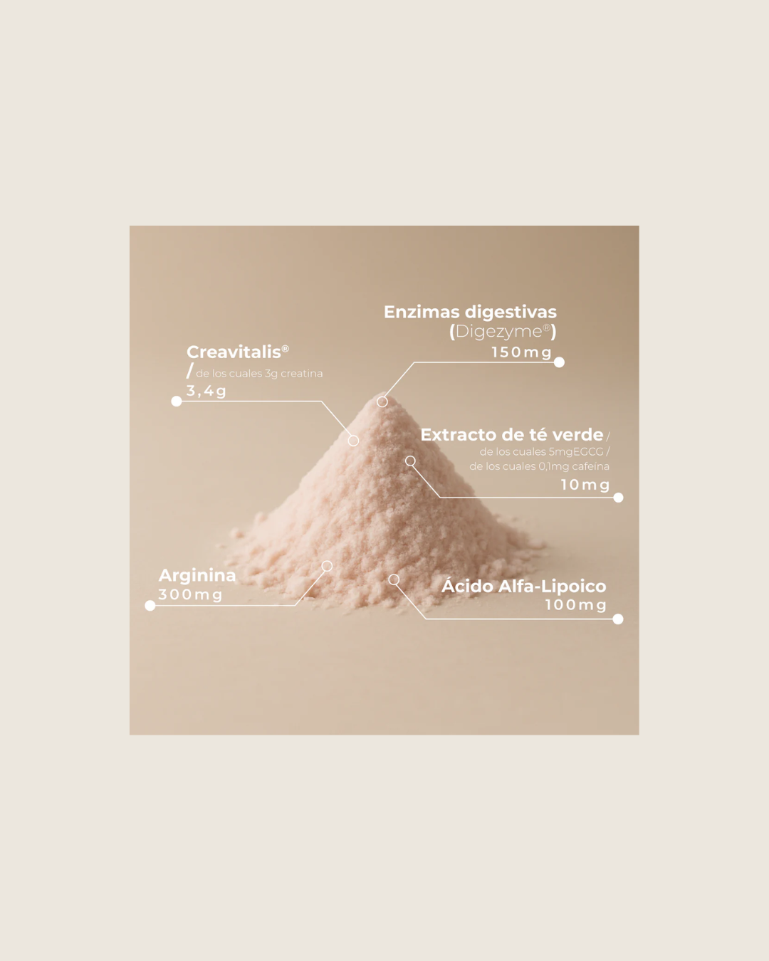 ingredientes de la creatina de kobho en polvo completa