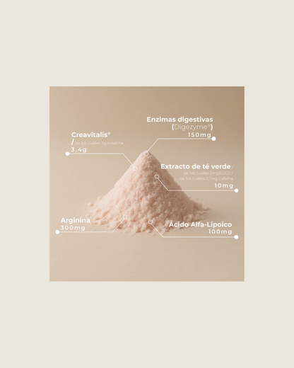 ingredientes de la creatina de kobho en polvo completa