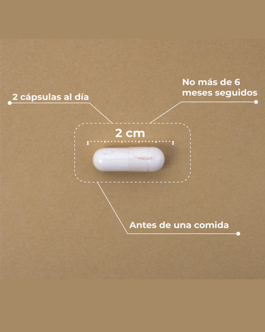 composicion de probioticos de kobho